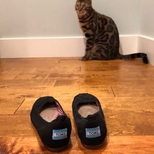 Toms Comfy Flats